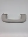 Front interior roof grab handle