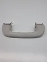 Front interior roof grab handle