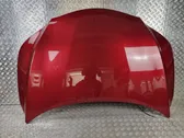 Engine bonnet/hood