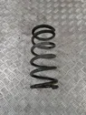 Rear coil spring