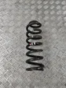 Rear coil spring