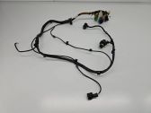 Engine installation wiring loom