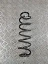 Rear coil spring