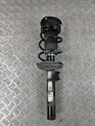 Front shock absorber/damper