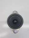 Rear door speaker