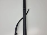 Tailgate/trunk strut/damper