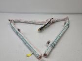 Roof airbag