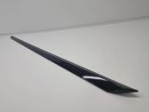 Beplankung Türleiste Zierleiste vorne