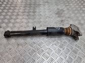 Rear shock absorber/damper