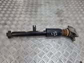 Rear shock absorber/damper
