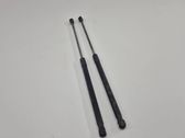 Tailgate/trunk strut/damper