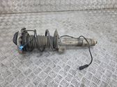 Front shock absorber with coil spring