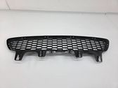 Front bumper lower grill