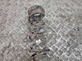 Rear coil spring