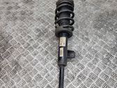 Front shock absorber with coil spring