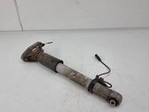 Rear shock absorber/damper