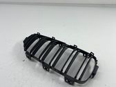 Front grill