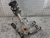 Front wheel hub spindle knuckle