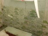 Rear door window glass