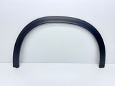 Fender trim (molding)