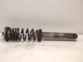 Rear shock absorber with coil spring