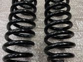 Rear coil spring