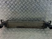 Intercooler radiator