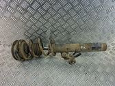 Front shock absorber/damper