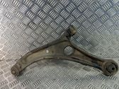 Front lower control arm/wishbone
