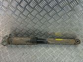 Rear shock absorber/damper