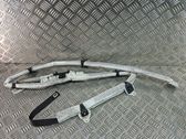 Roof airbag