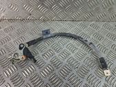 Negative earth cable (battery)