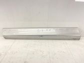Front door trim (molding)