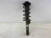 Front shock absorber with coil spring