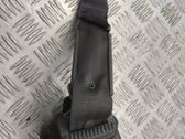 Rear seatbelt