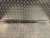 Front door glass trim molding