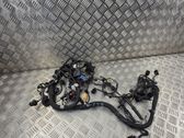Faisceau de câblage pour moteur