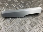 Dashboard trim