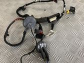 Front door wiring loom