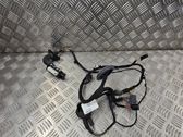 Front door wiring loom