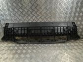 Placa protectora/plataforma del parachoques delantero