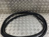 Front door rubber seal
