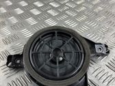 Front door speaker