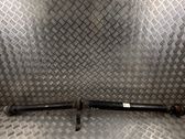 Drive shaft (set)