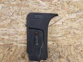 (C) pillar trim