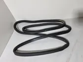 Rear door rubber seal (on body)