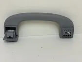 Front interior roof grab handle