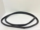 Trunk rubber seal (body)