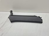 (C) pillar trim