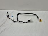 Seat wiring loom